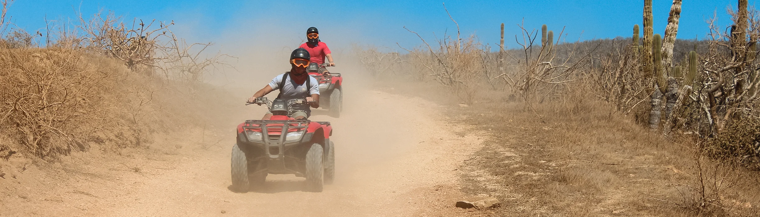 Image of ATVs on off-road track