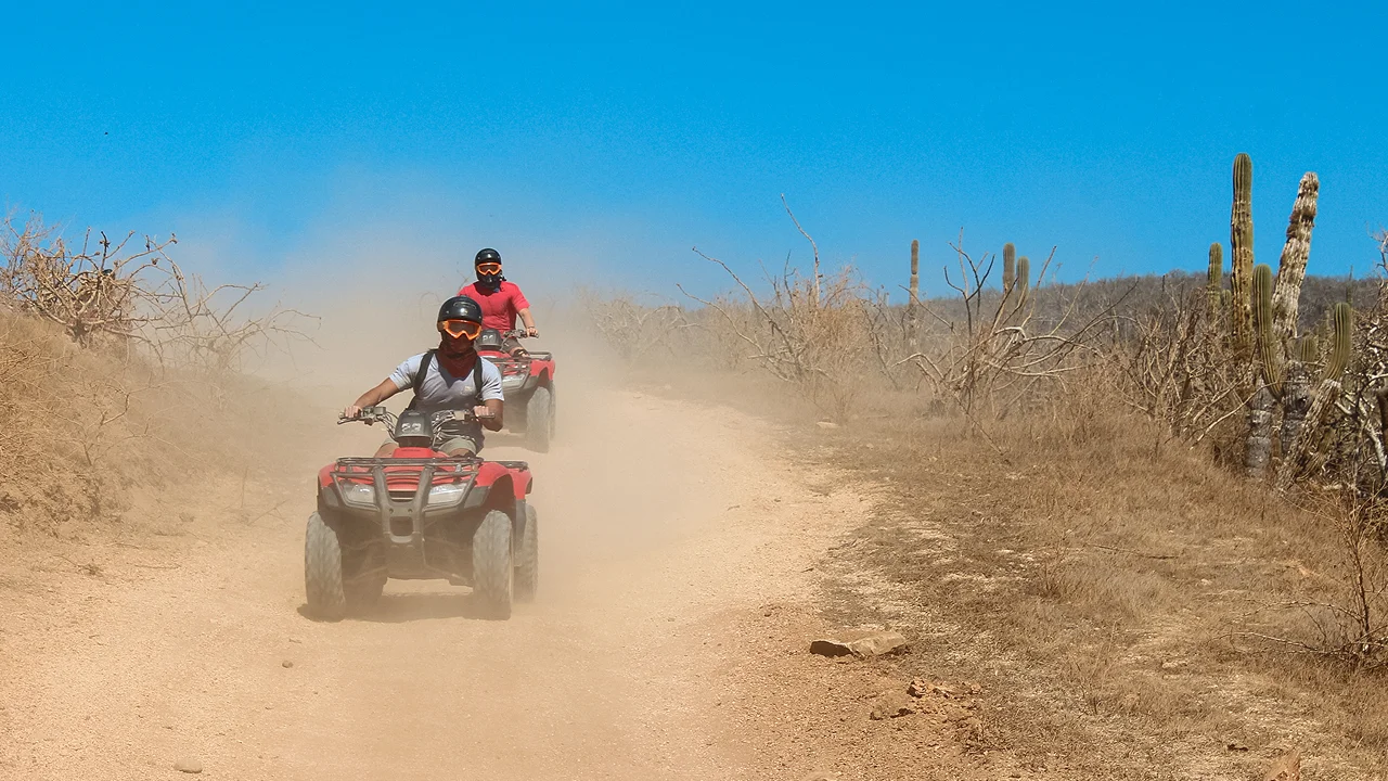 Image of ATVs on off-road track